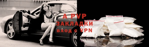 кокс Инсар
