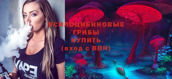 индика Заволжск